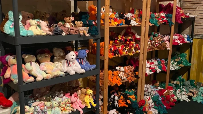 beanie babies collection shelf